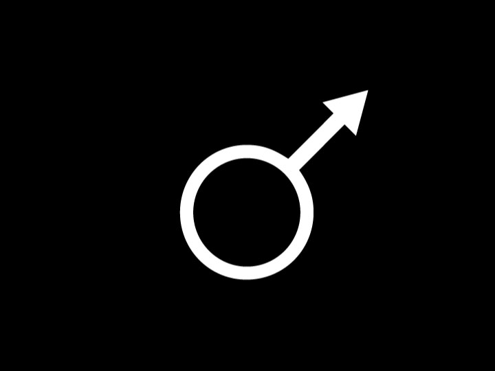 Claude Closky, ‘Male,’ 2004, flat screen, silent, pictograms projected for 2 seconds, then reversed for 2 seconds, in a loop. 